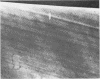360