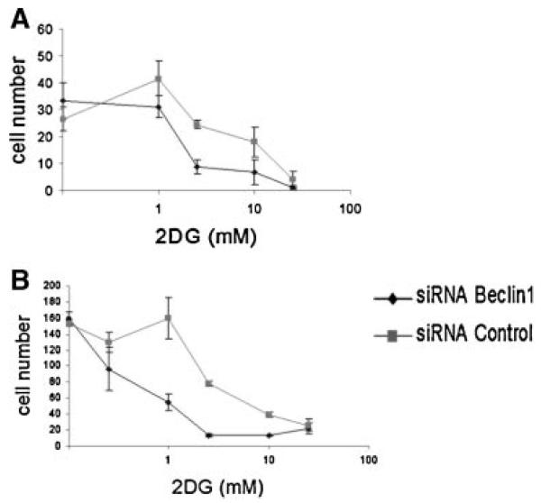 Fig.6