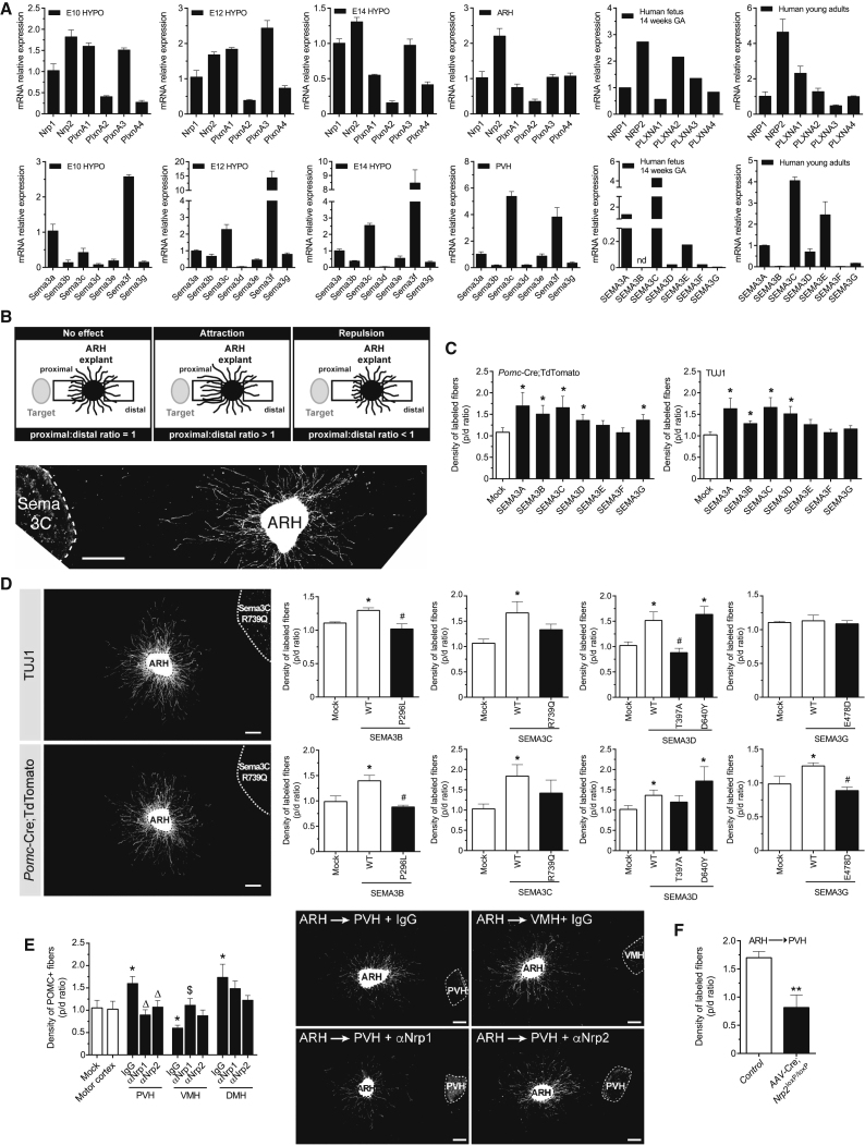 Figure 4