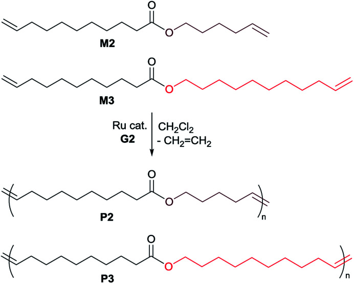 Scheme 3