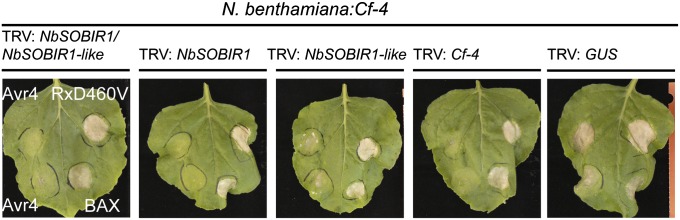 Fig. 2.