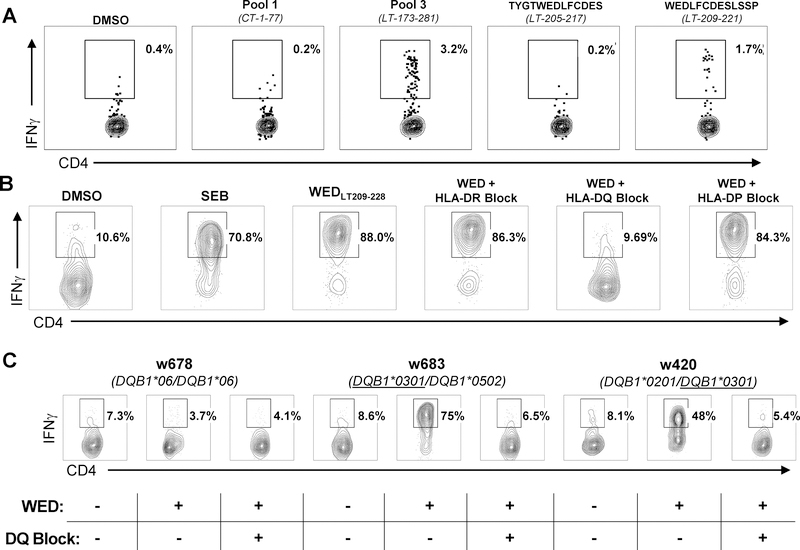 Figure 2: