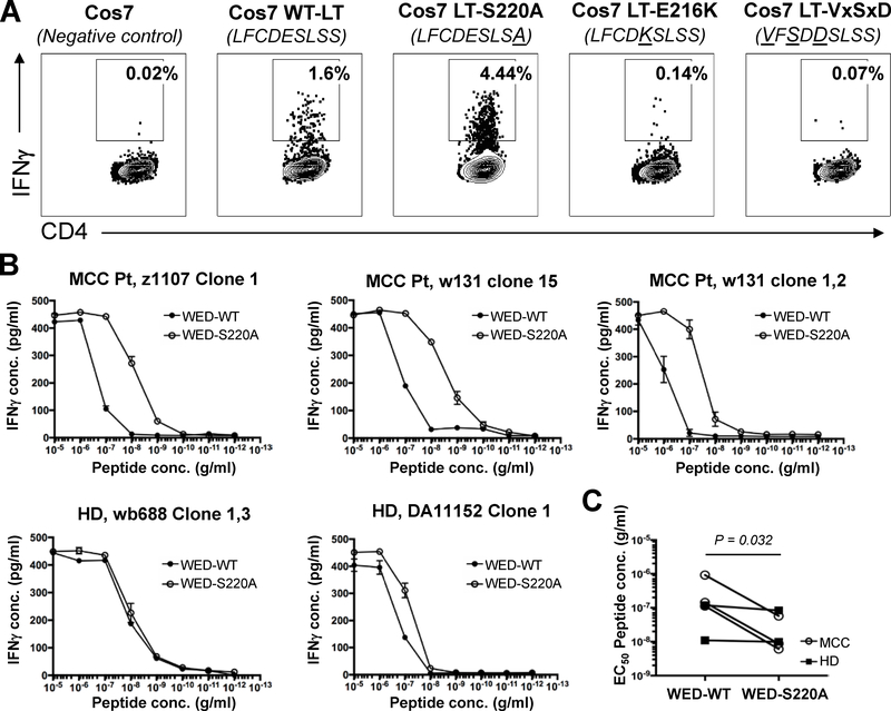 Figure 6: