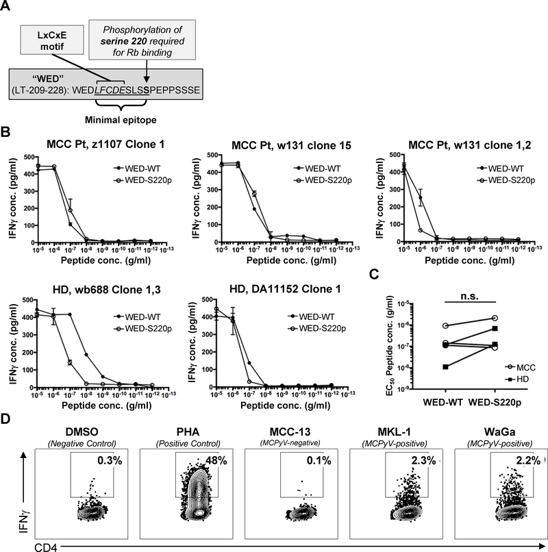 Figure 4: