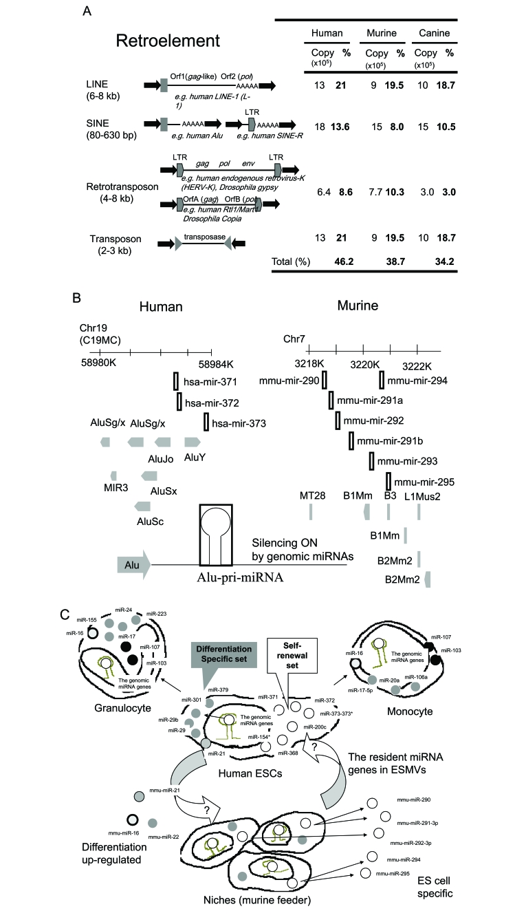 Fig. (1)