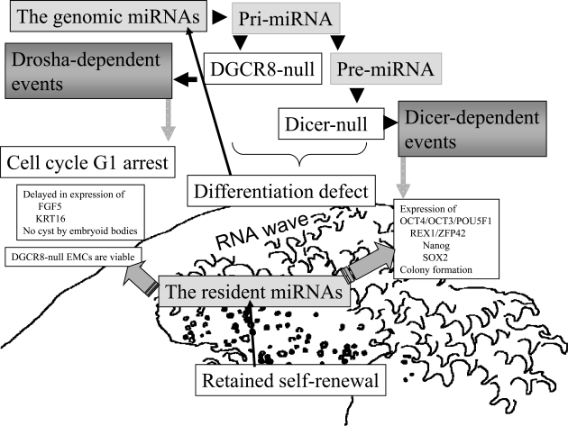 Fig. (2)