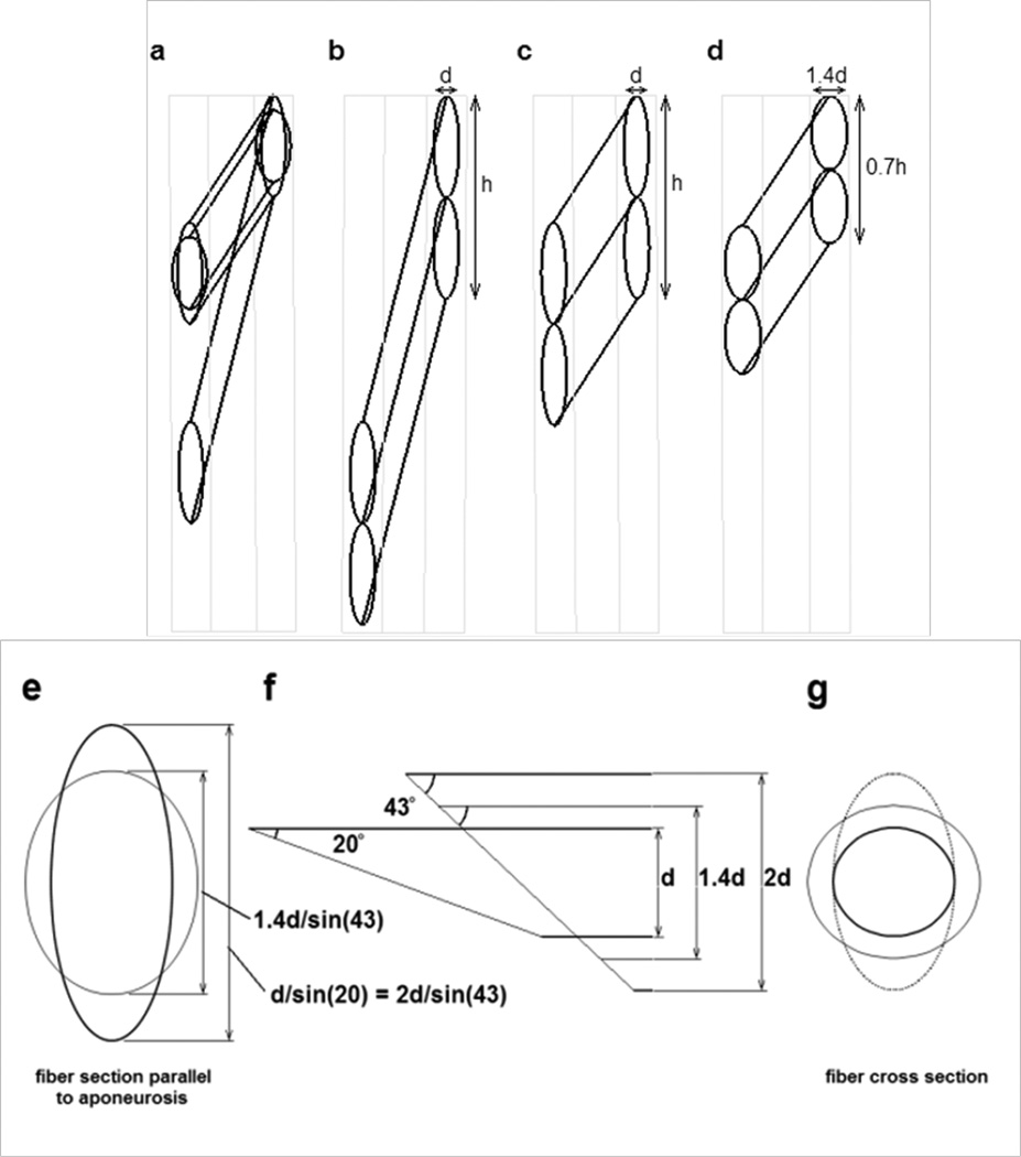 Fig. 13