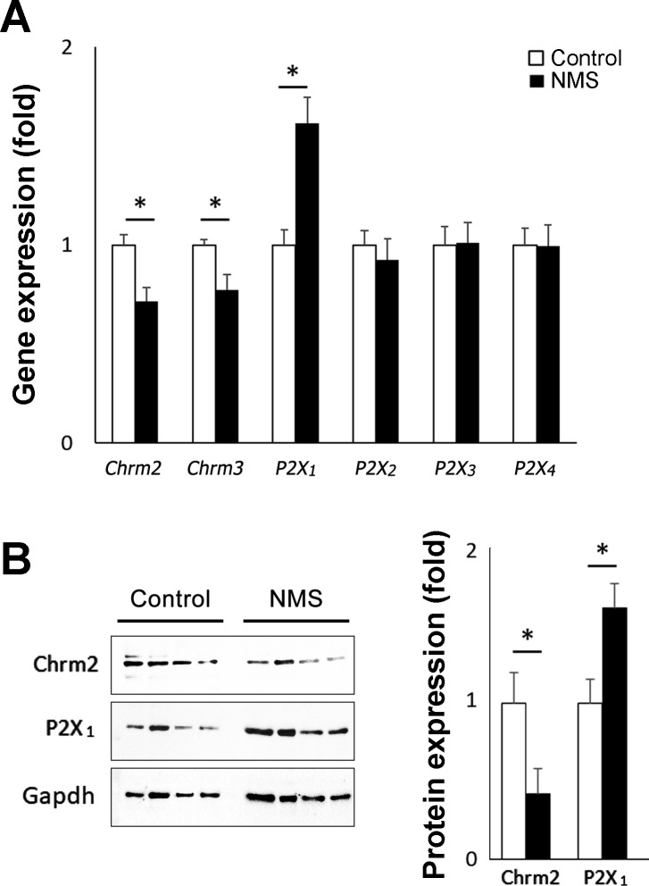 Fig. 6.