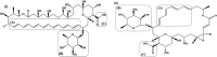 <b>FIG. 1.</b>