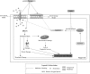 <b>FIG. 3.</b>