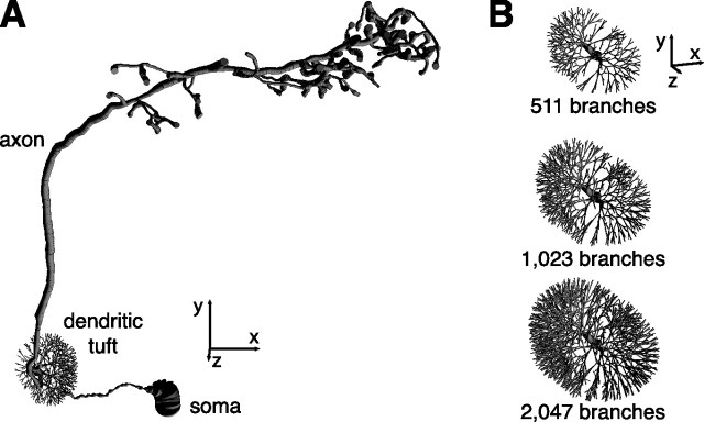 Figure 2.