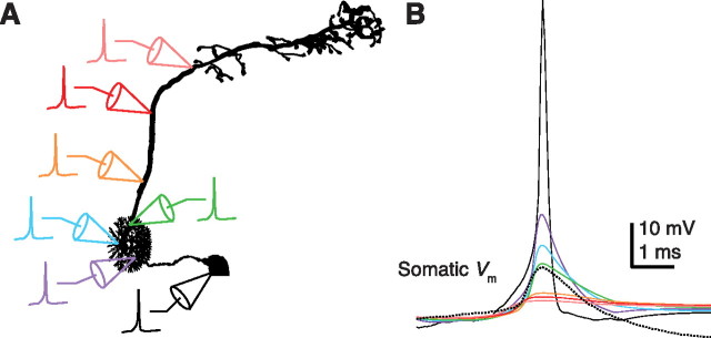 Figure 5.