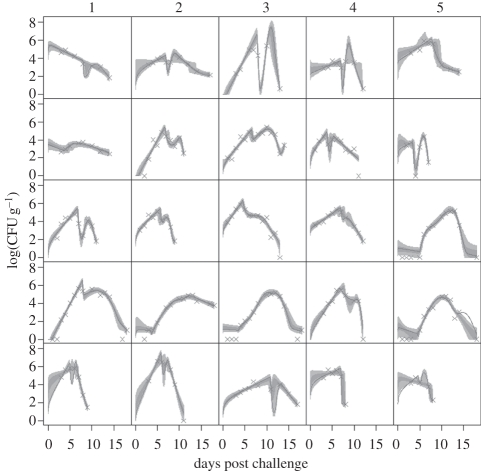 Figure 2.