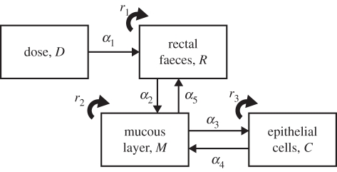 Figure 1.