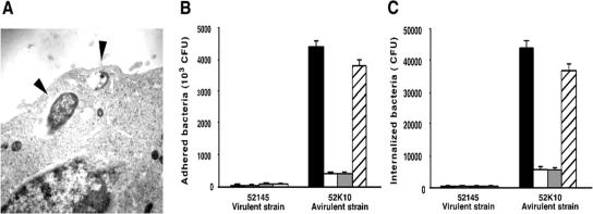 FIG. 1.