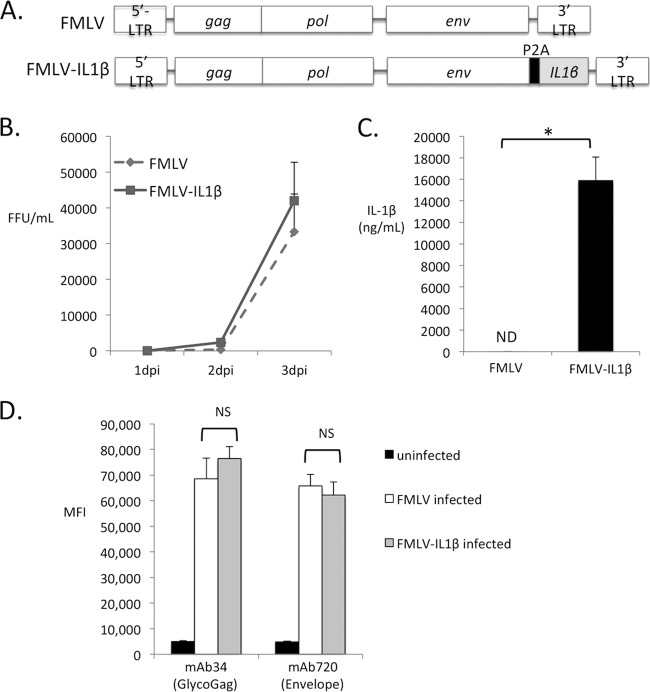 FIG 1