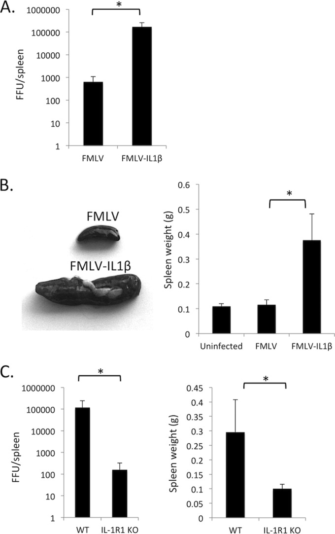 FIG 2