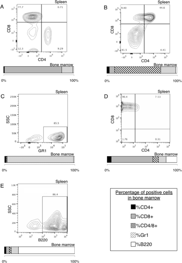 FIGURE 10.