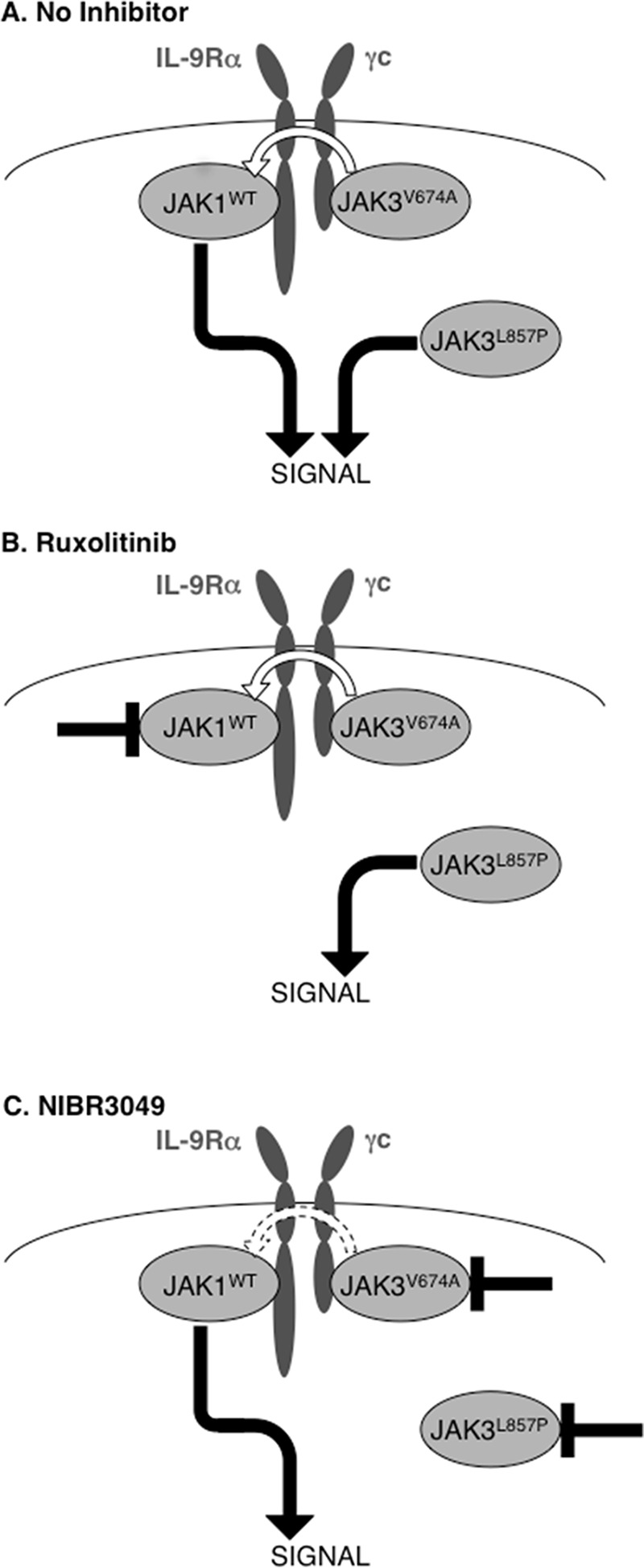 FIGURE 11.