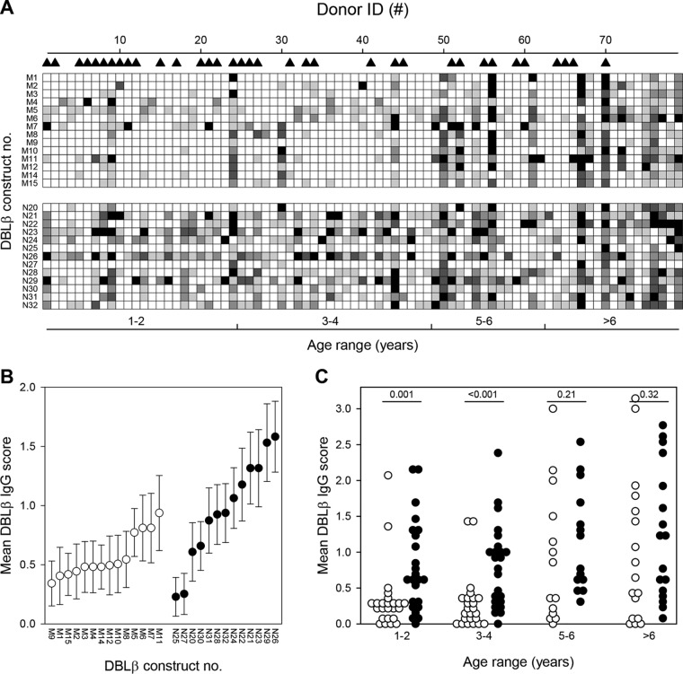 FIG 2