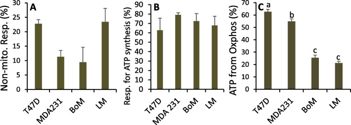 Fig. 12