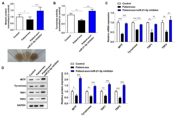 Fig. 3: