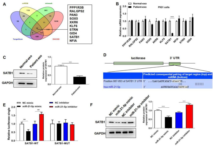 Fig. 4: