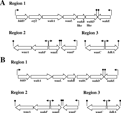 FIG. 2.