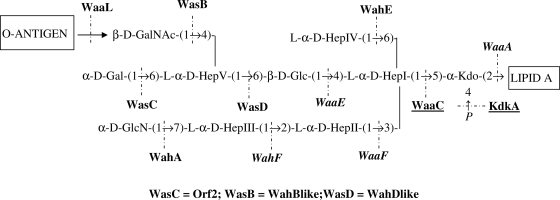 FIG. 6.