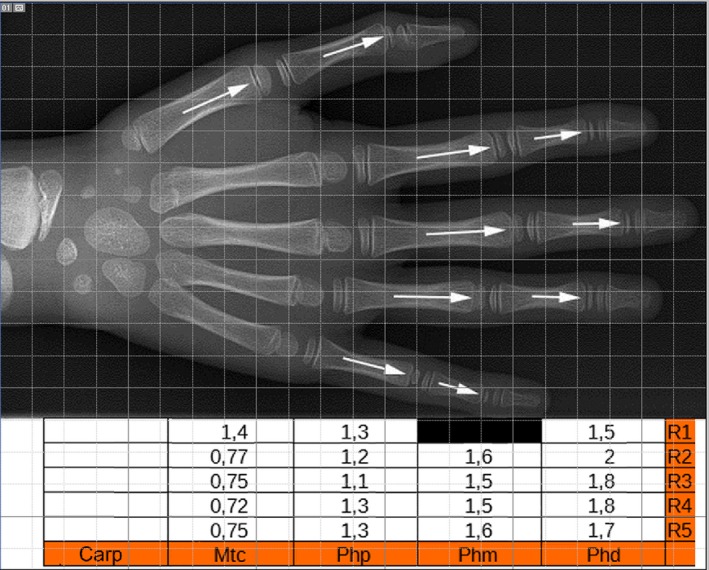 Figure 9