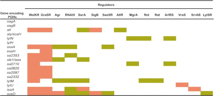 Figure 5.