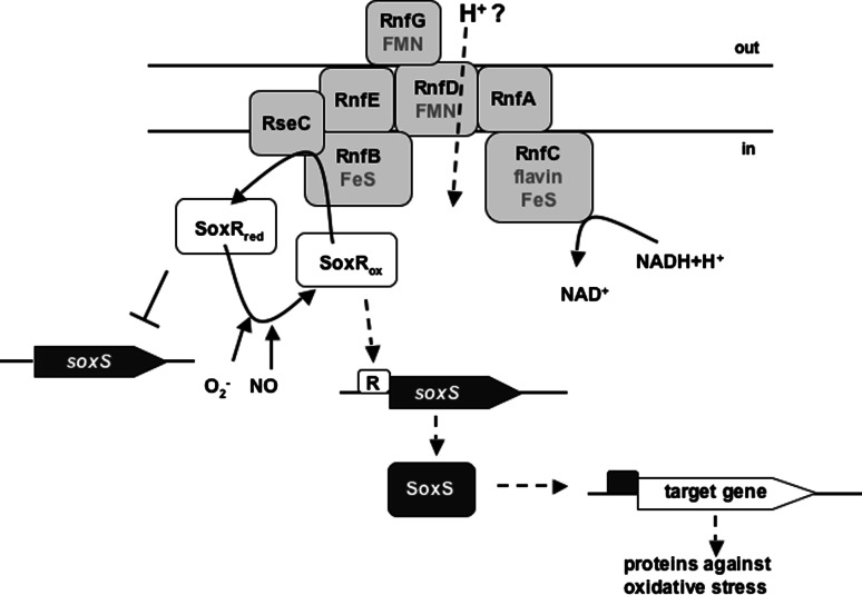 Fig. 7