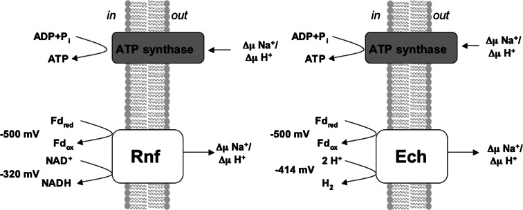 Fig. 3