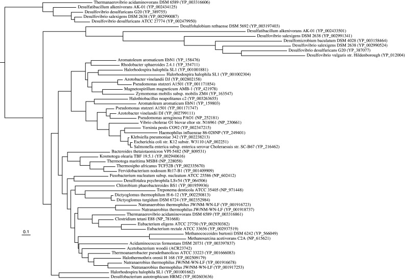 Fig. 6