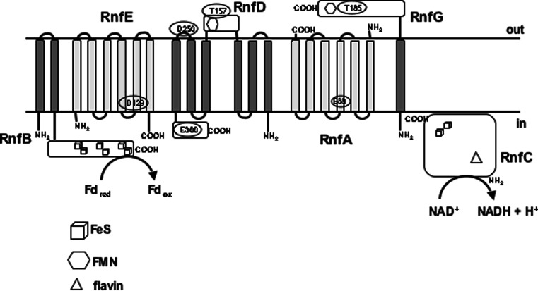 Fig. 2