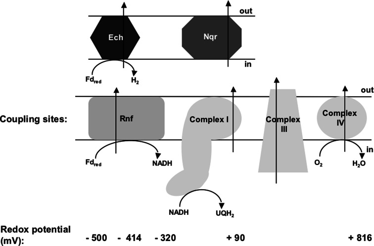 Fig. 4