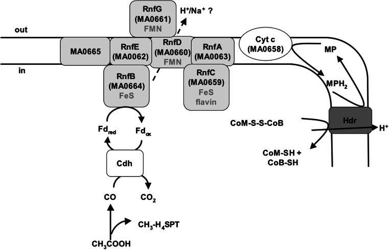 Fig. 10