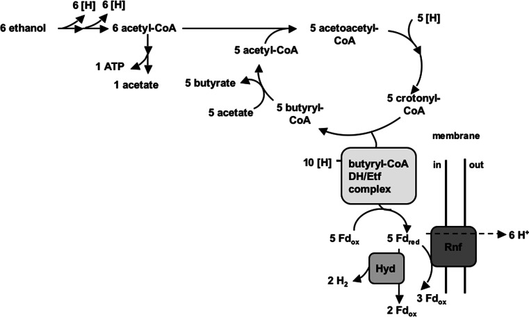 Fig. 9