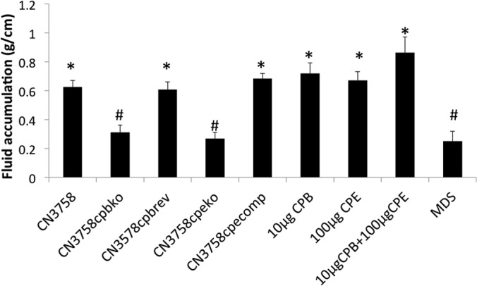 FIG 6