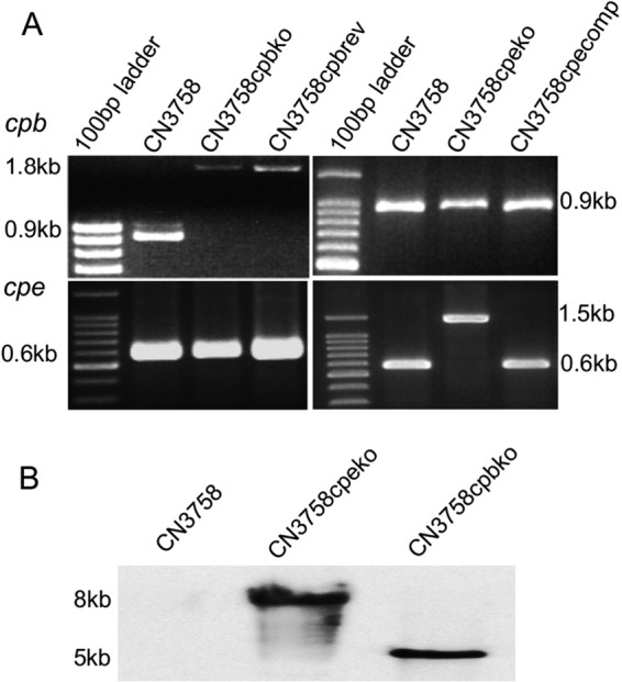 FIG 3