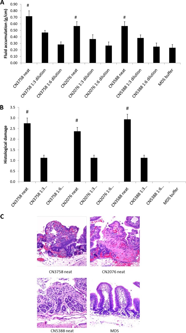 FIG 1