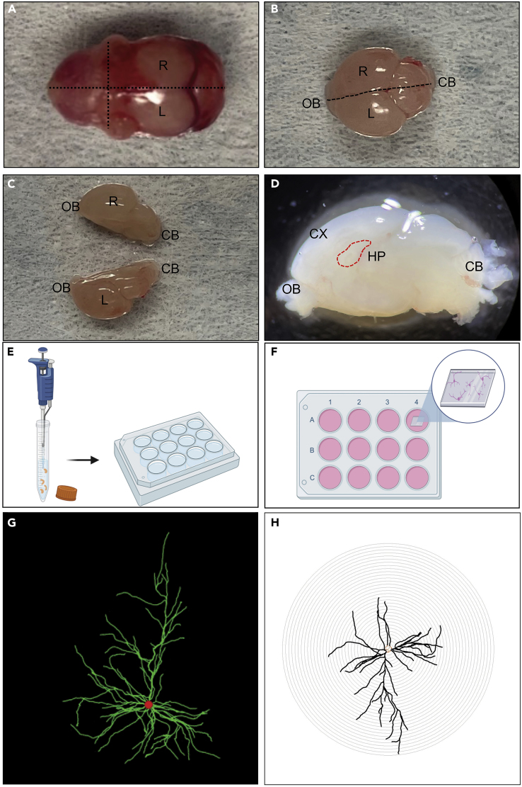 Figure 2
