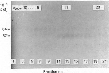 Fig. 9.