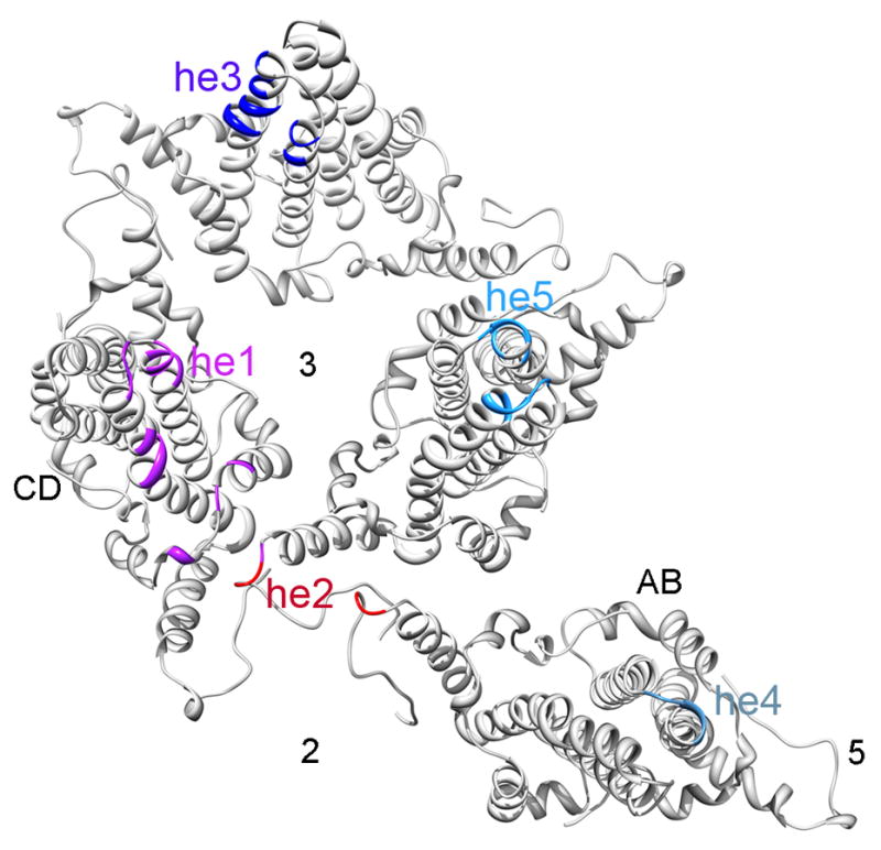 Figure 5