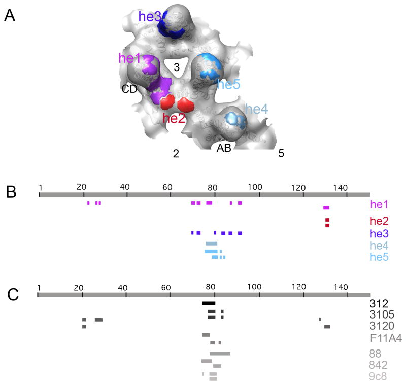 FIGURE 4