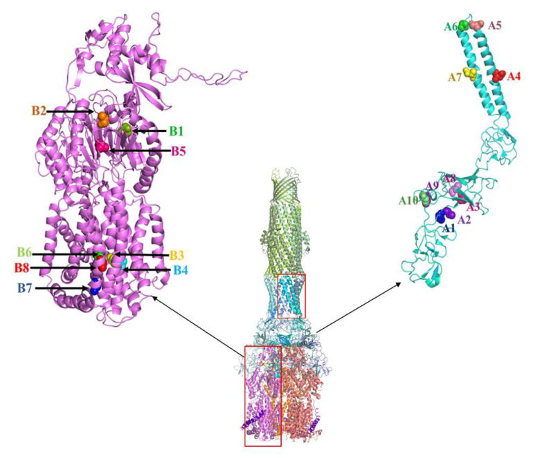 Figure 6