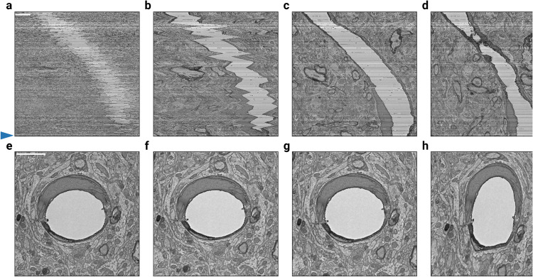 Fig. 4