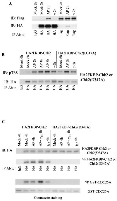 FIG. 9.