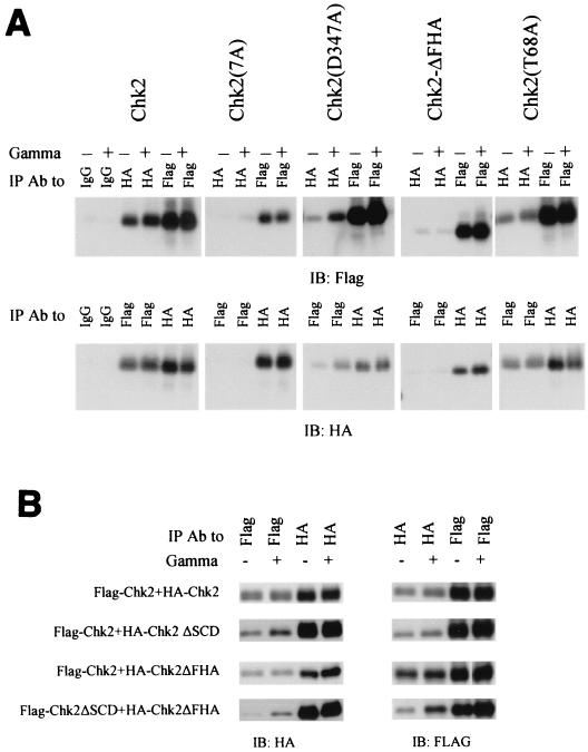 FIG. 7.