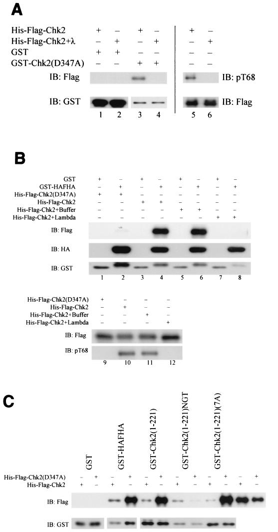 FIG.8.